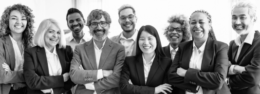 corporate learning solutions MCE Management Centre Europe
